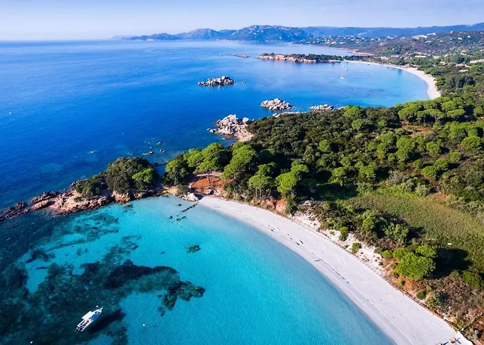 Penthouse Les Oliviers *